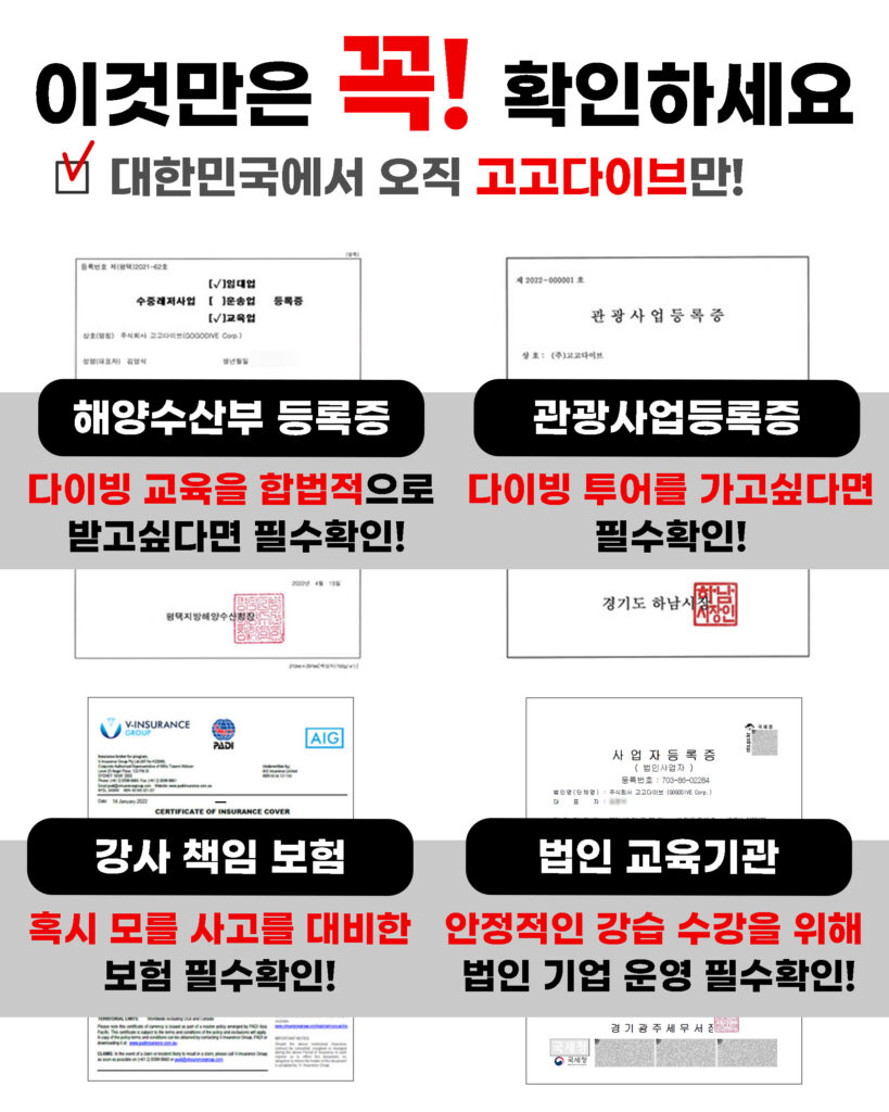 고고다이브 코스 안내 4