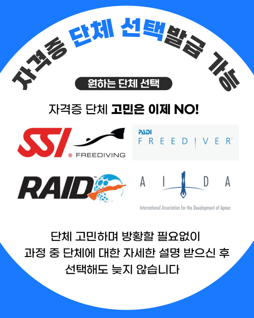고고다이브 코스 안내 8