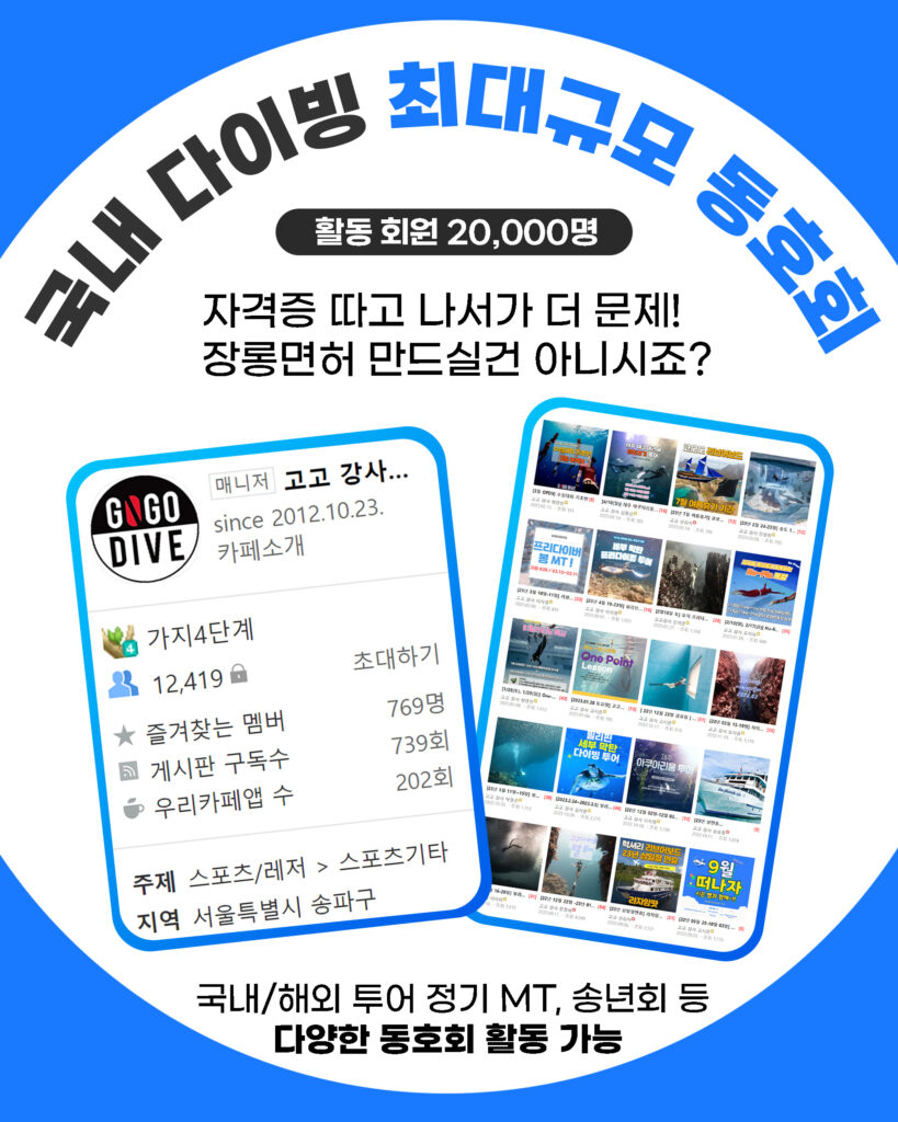 고고다이브 코스 안내 9