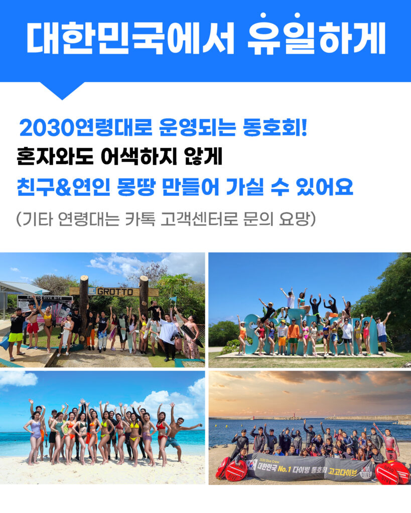 고고다이브 코스 안내 10