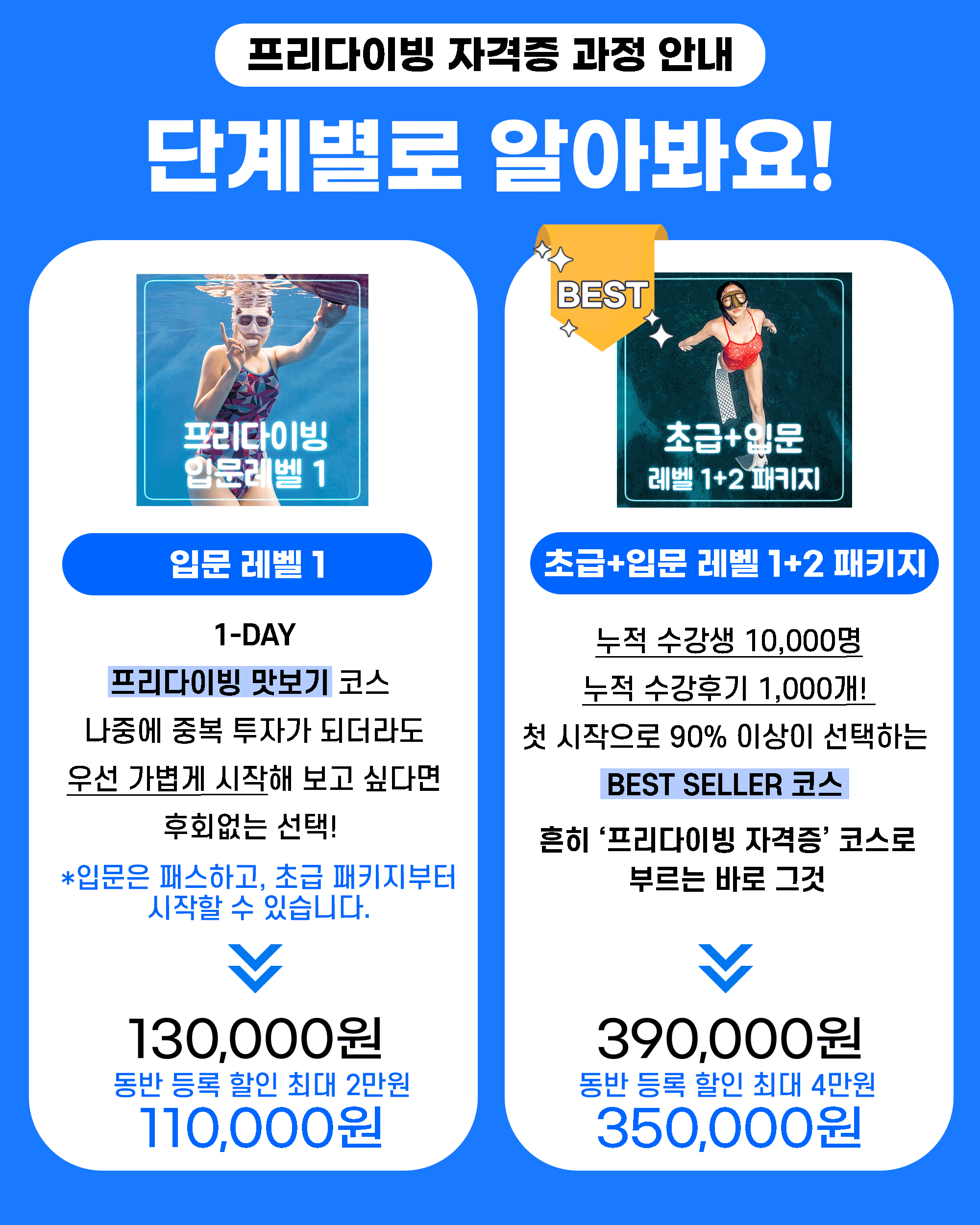 고고다이브 코스 안내 11
