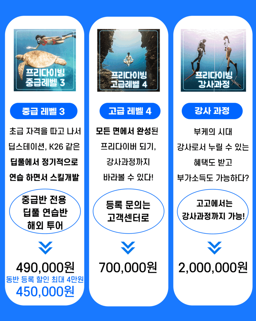 고고다이브 코스 안내 12