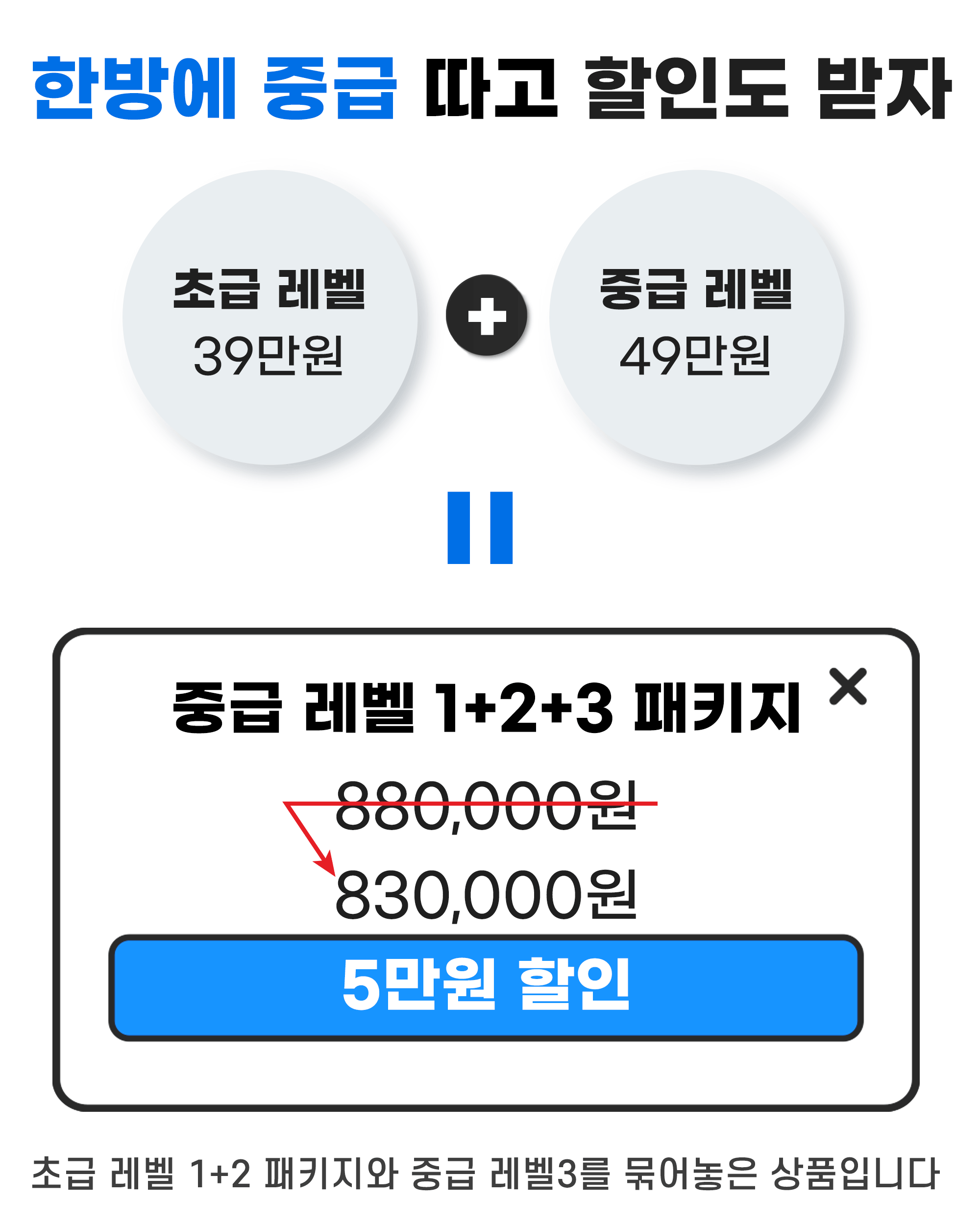 고고다이브 코스 안내 13