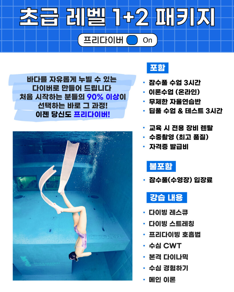 고고다이브 코스 안내 15