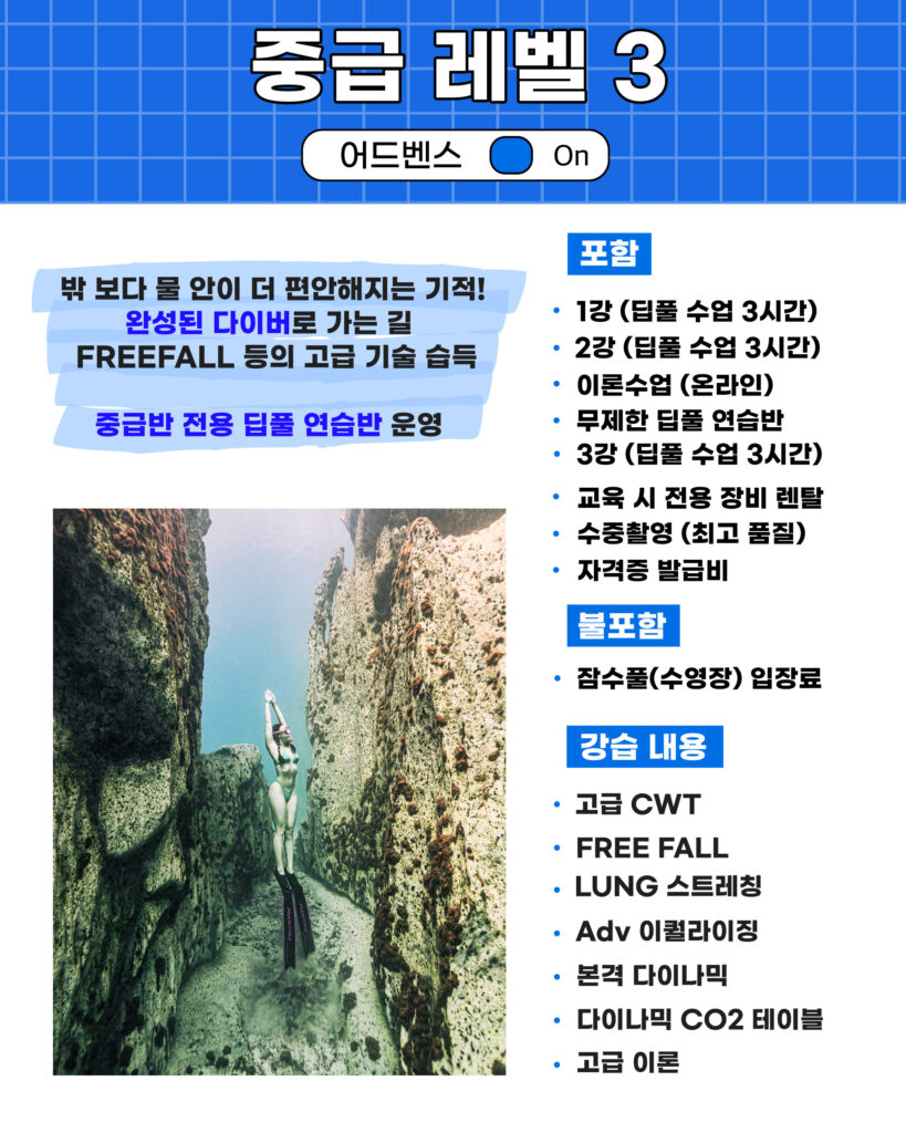 고고다이브 코스 안내 16